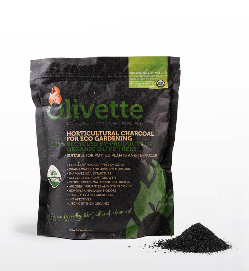 Olivette Horticultural
